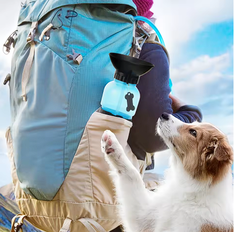 Dog Water Bottle