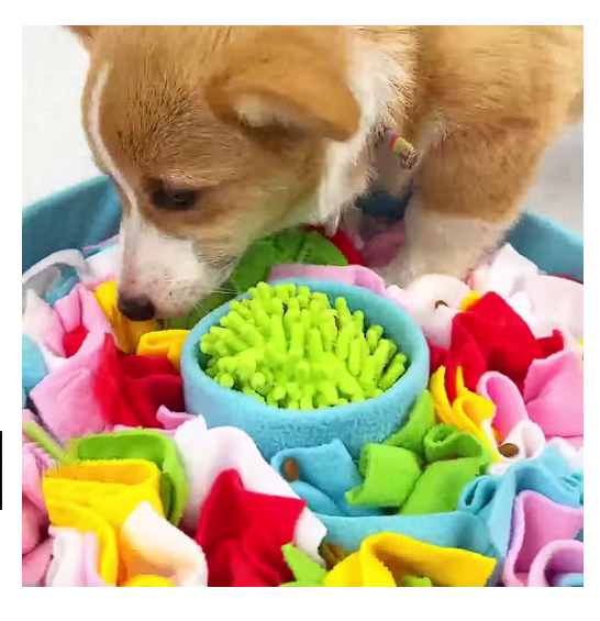Snuffle Mat Dog Stress Relief Toys